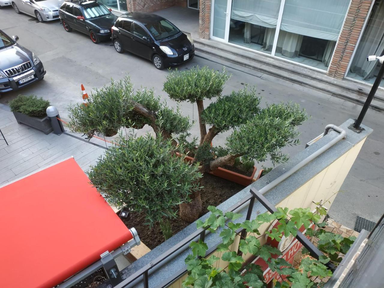 Hotel Lions Tbilisi Exterior foto